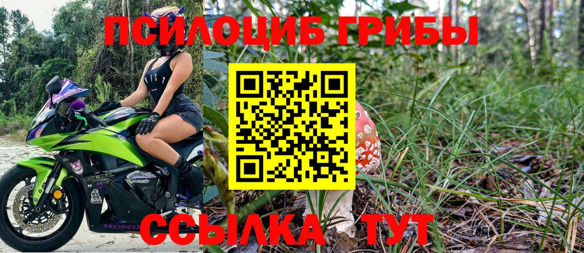 Галлюциногенные грибы мухоморы Миллерово