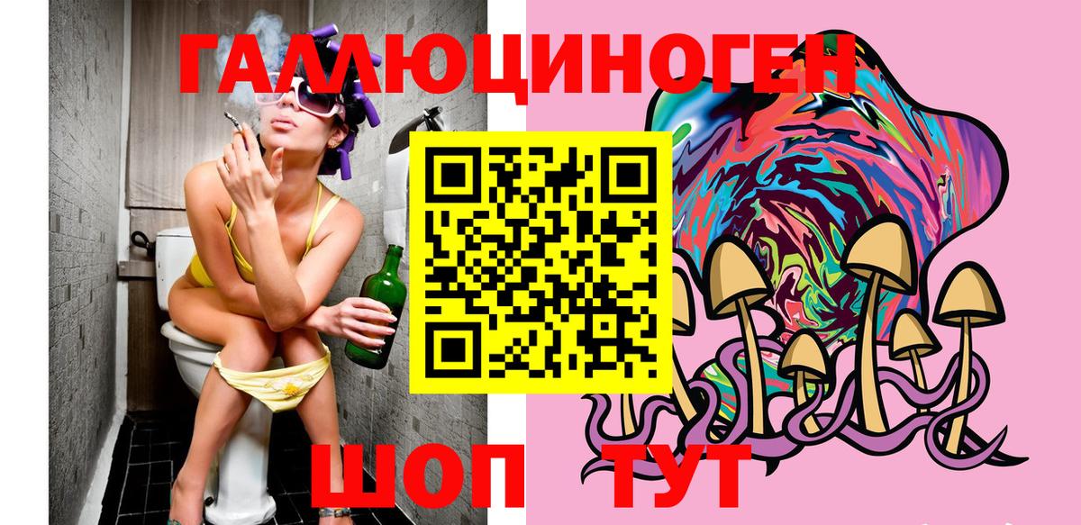 Миллерово  как найти   Вход с VPN  Псилоцибиновые грибы мицелий 